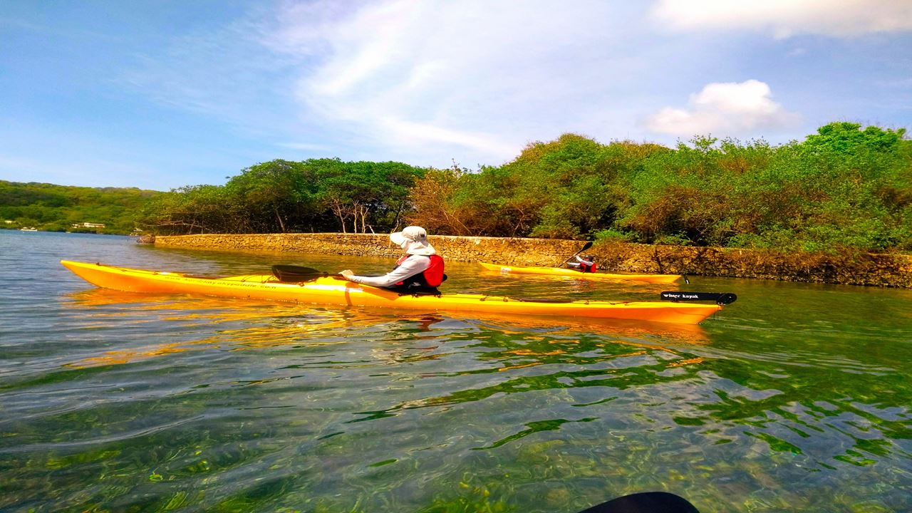 Barú By Kayak: An Immersion In Natural Beauty (4)