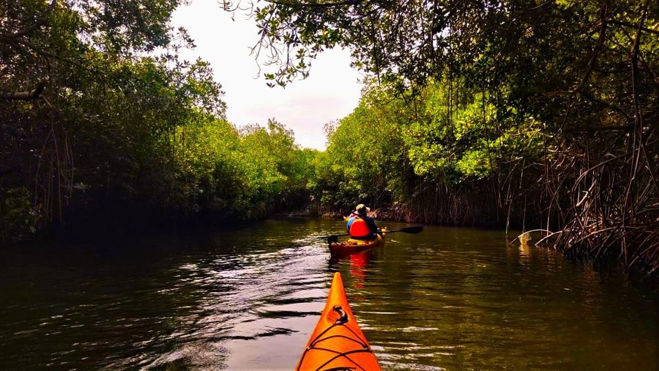 Barú Kayak Day: Nature Immersion foto 6