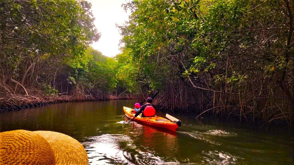 Barú Kayak Day: Nature Immersion foto 3