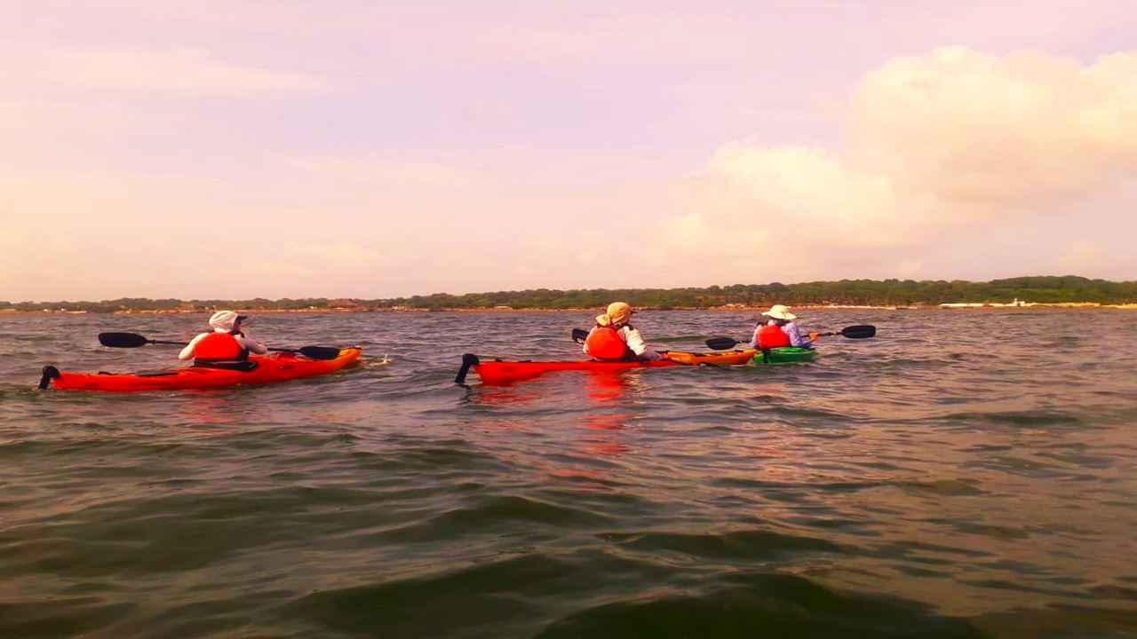 Punta Arena Kayak Tour (1)