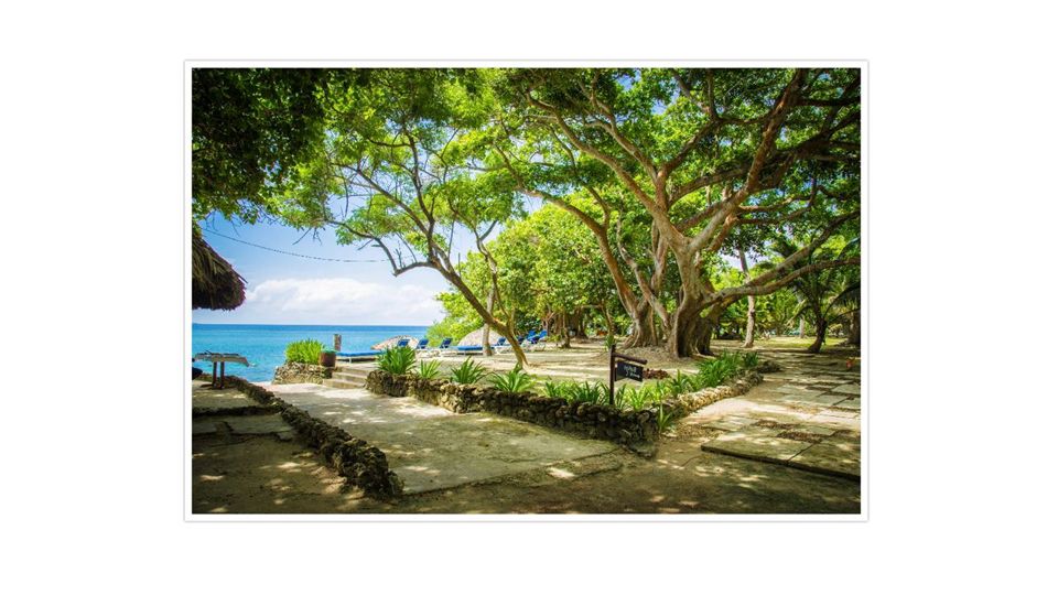 San Pedro de Majagua & Rosario Islands Day Journey foto 5