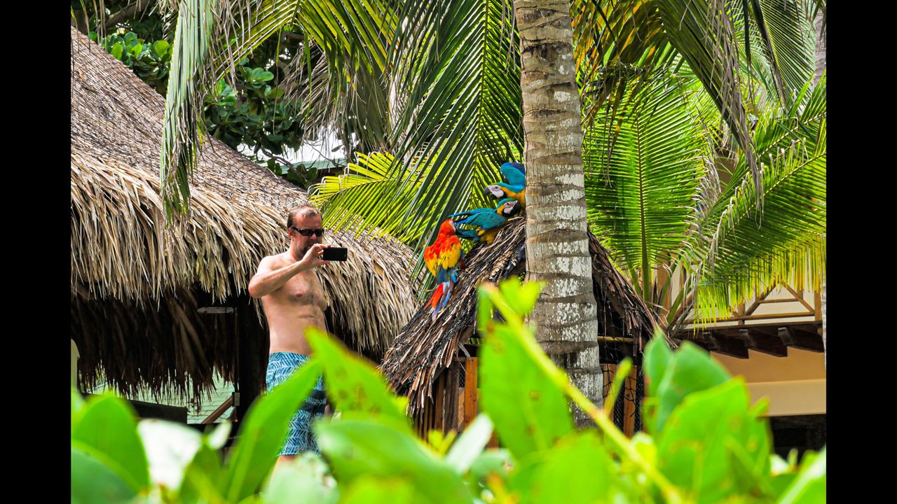 Visite À Playa Blanca - Mambo Beach Barú foto 6