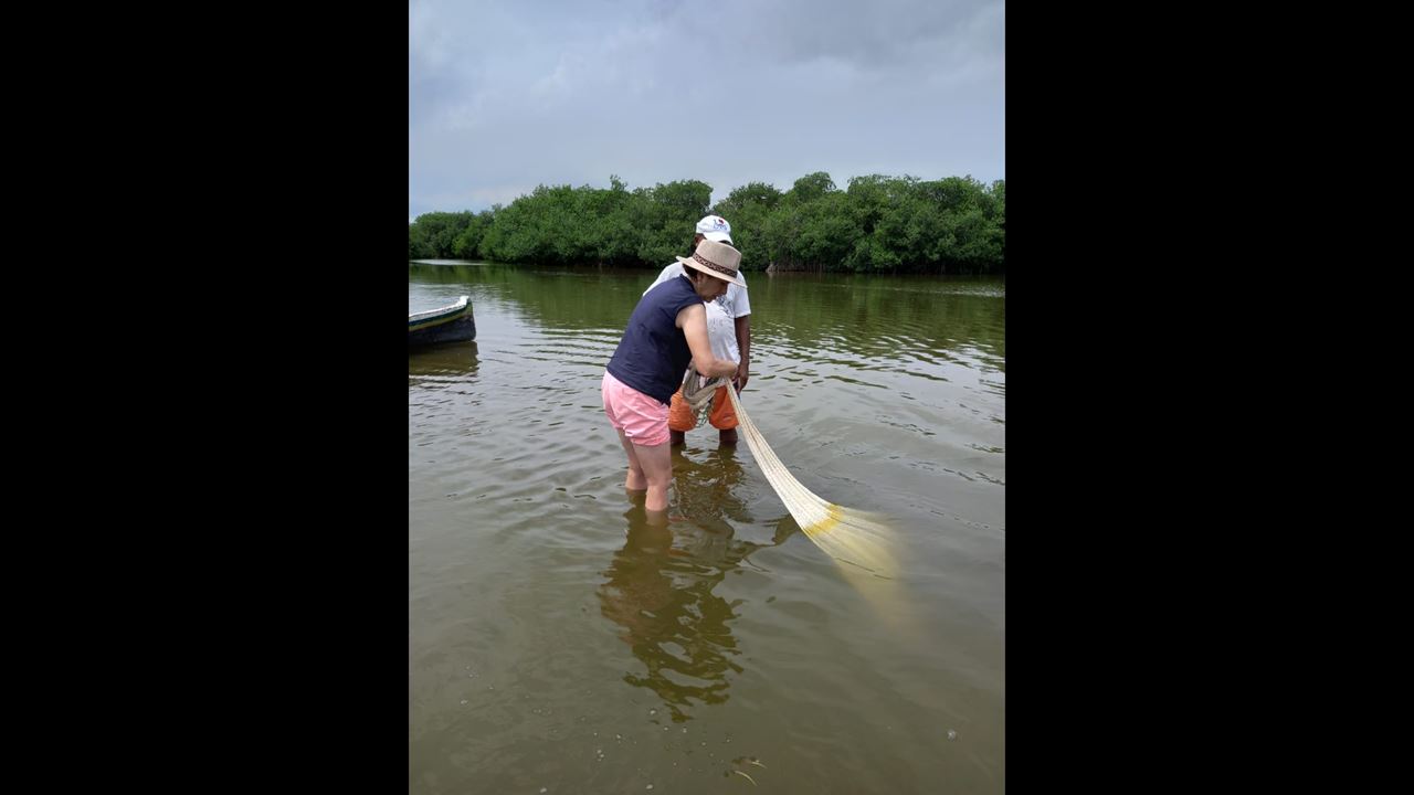 Passeio De Canoa Pelos Manguezais De La Boquilla (5)